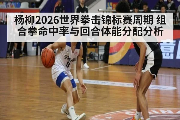 杨柳2026世界拳击锦标赛周期 组合拳命中率与回合体能分配分析